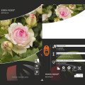 Róża pnąca Eden Rose®, C3 interface.image 3 interface.art 4559