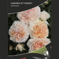 Róża rabatowa Garden of Roses®, C5 interface.image 2 interface.art 5822
