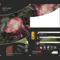 Róża wielkokwiatowa Nostalgie®, C5 interface.image 2 interface.art 4563
