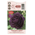 Róża wielkokwiatowa Twilight Zone®, C5 interface.image 3 interface.art 5537