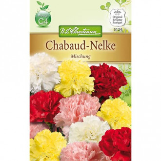 Garoafă, mix multicolor imagine 1