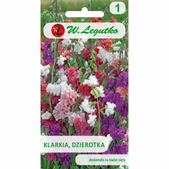 Clarkia, mix multicolor imagine 2