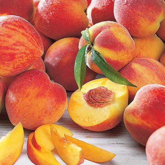 Праскова Maria Bianca изображение 15