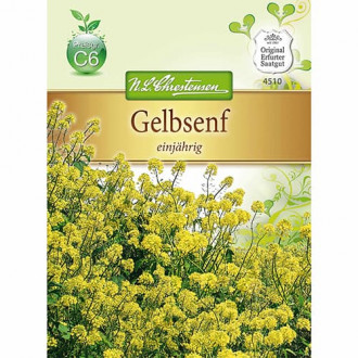 Muștar galben imagine 6