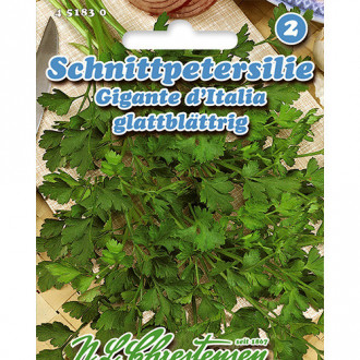 Pătrunjel de frunze Gigante d´Italia imagine 1