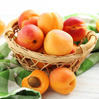 Кайсия Bebeco изображение 12