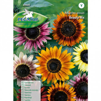 Floarea soarelui decorativă Beauty, mix multicolor imagine 9