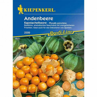 Physalis (Cireșe de pământ) imagine 1