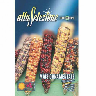 Porumb ornamental, mix multicolor imagine 5