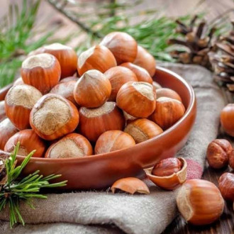 Лешник Kuban изображение 7