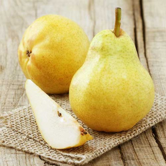 Круша Highland изображение 9