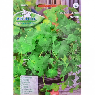 Coriandru de frunze Marino imagine 5
