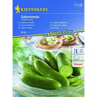 Ogórek sałatkowy Salamanda Kiepenkerl interface.image 13