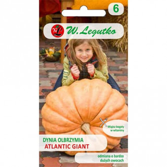 Dynia Atlantic Giant interface.image 3