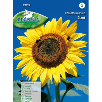 Słonecznik ozdobny Beauty Giant, mieszanka Kiepenkerl interface.image 4