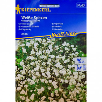 Gipsówka wiechowata biała Kiepenkerl interface.image 10