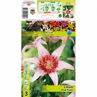 Лилиум Pink Pixels изображение 18