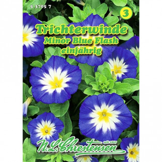 Трицветна поветица Blue Flash изображение 2