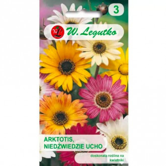 Африканска маргаритка, смес Legutko изображение 2