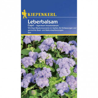 Ageratum Capri Kiepenkerl imagine 1