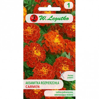 Aksamitka rozpierzchła Carmen - czerwona interface.image 1