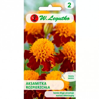 Aksamitka Orange Flame interface.image 11
