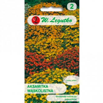 Aksamitka waskolistna, mix kolorow interface.image 15