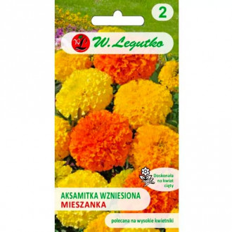 Aksamitka wzniesiona wysoka, mix interface.image 13