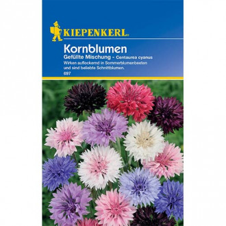 Albăstrele, mix multicolor Kiepenkerl imagine 3