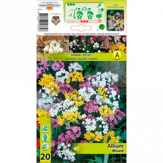 Allium mix multicolor imagine 5