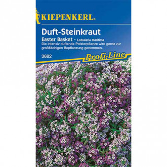 Alyssum Easter Basket Kiepenkerl imagine 9
