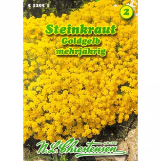 Alyssum Gold Cup imagine 1