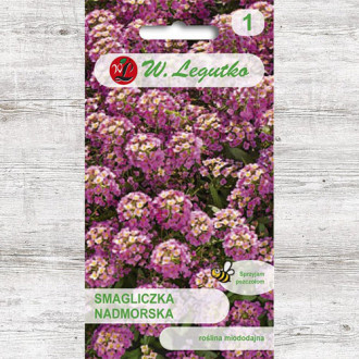 Alyssum roz Legutko imagine 8