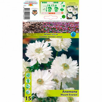 Anemone Mount Everest imagine 9