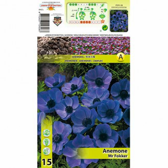 Anemone Mr Fokker imagine 17