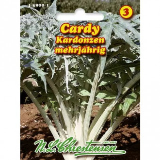 Anghinare Cardy imagine 3