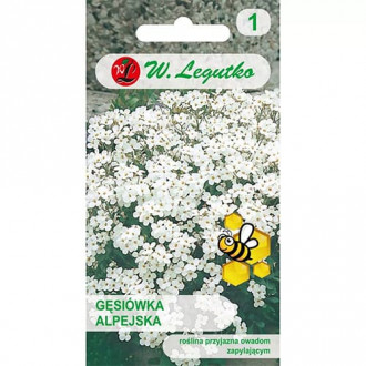 Арабис бял, смес изображение 2