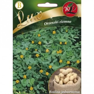 Arahide (Alune de pământ) imagine 11