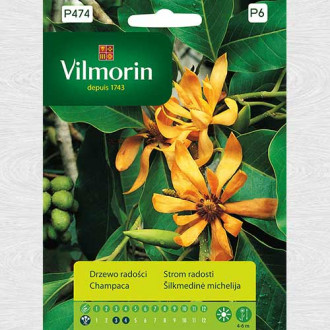 Arbore de Champaca imagine 10