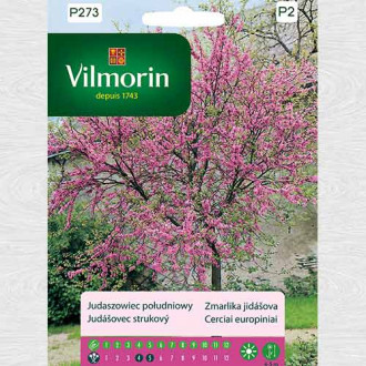 Arbore de Iudeea imagine 8