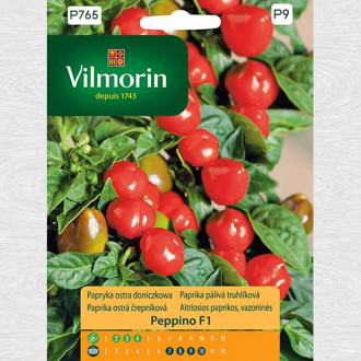 Ardei iute Peppino F1 imagine 17