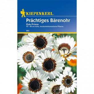 Арктотис Zulu Prince изображение 1