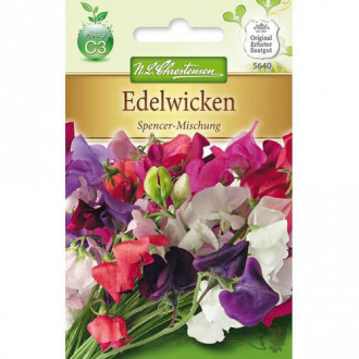 Декоративен грах Spencer, смес изображение 1