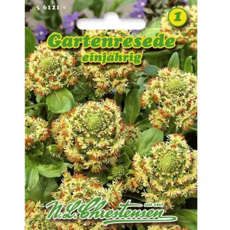 Ароматна резеда Chrestensen изображение 1