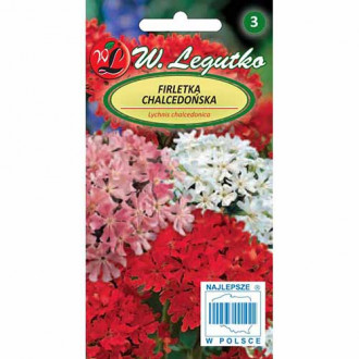 Lychnis chalcedonica, mix multicolor imagine 1