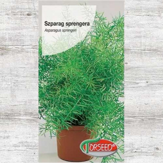 Asparagus gęstokwiatowy (Szparag Sprengera) interface.image 4