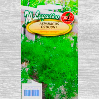Asparagus ozdobny interface.image 1