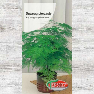 Asparagus pierzasty (Szparag pierzasty) interface.image 3