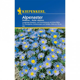 Aster alpin Light Blue imagine 1