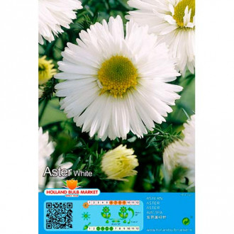 Aster White interface.image 17